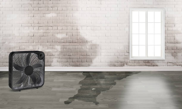 Best Flooded house restoration  in Sulphur, LA