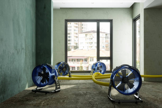 Best Sewage cleanup and water damage restoration  in Sulphur, LA
